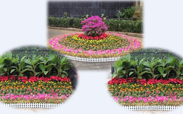 振興華龍人喜迎中秋、國慶雙節(jié)